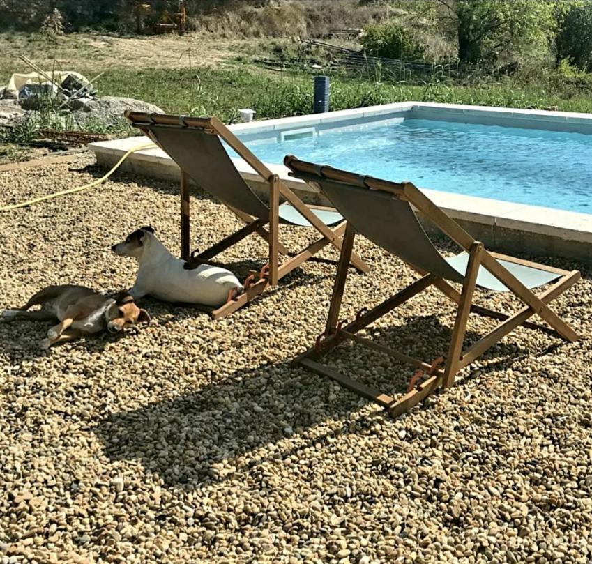 كادينيت Bastide Bellugue Maison D'Hotes Reseau Bienvenue A La Ferme A 3 Minutes De Lourmarin المظهر الخارجي الصورة