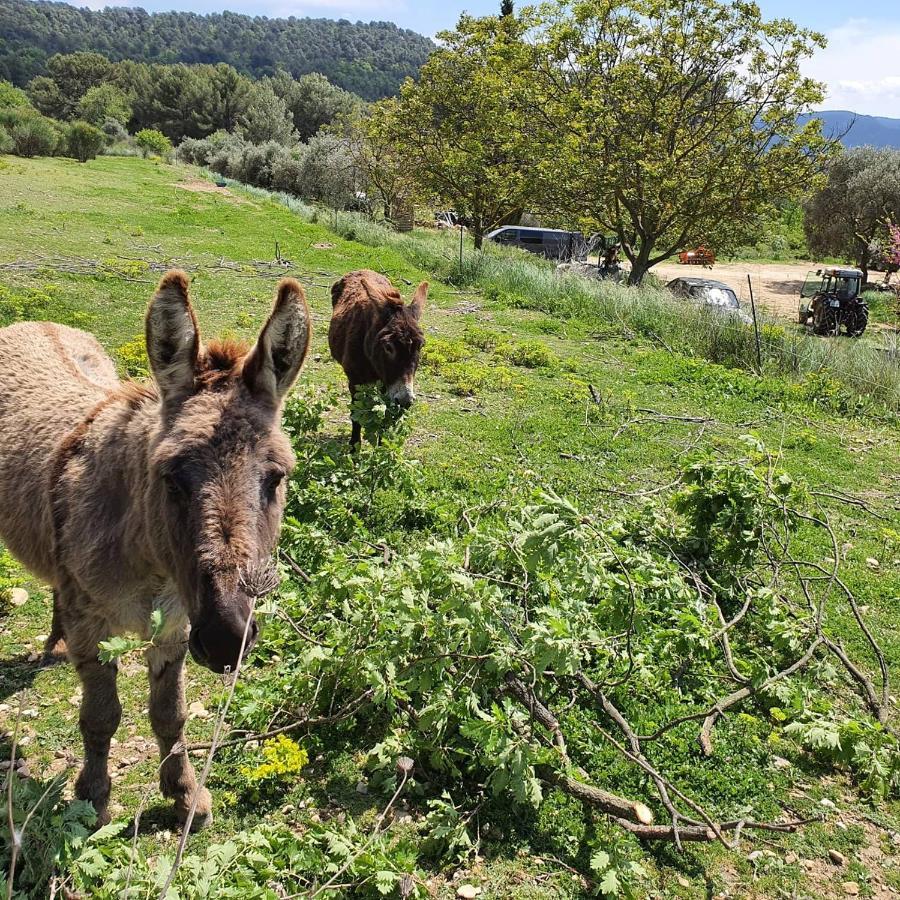 كادينيت Bastide Bellugue Maison D'Hotes Reseau Bienvenue A La Ferme A 3 Minutes De Lourmarin المظهر الخارجي الصورة