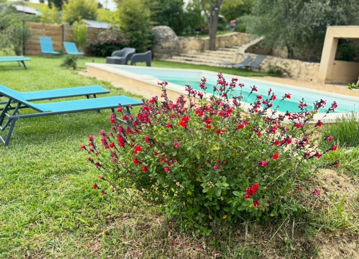 كادينيت Bastide Bellugue Maison D'Hotes Reseau Bienvenue A La Ferme A 3 Minutes De Lourmarin المظهر الخارجي الصورة