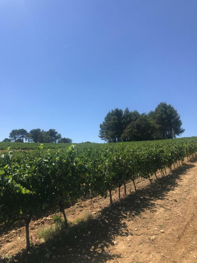 كادينيت Bastide Bellugue Maison D'Hotes Reseau Bienvenue A La Ferme A 3 Minutes De Lourmarin المظهر الخارجي الصورة