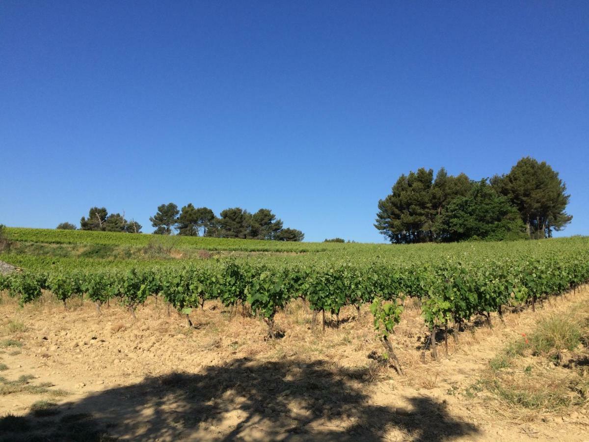 كادينيت Bastide Bellugue Maison D'Hotes Reseau Bienvenue A La Ferme A 3 Minutes De Lourmarin المظهر الخارجي الصورة