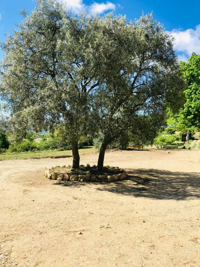 كادينيت Bastide Bellugue Maison D'Hotes Reseau Bienvenue A La Ferme A 3 Minutes De Lourmarin المظهر الخارجي الصورة
